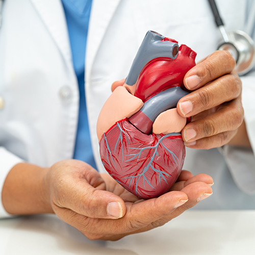 Cardiologist in Anantapur